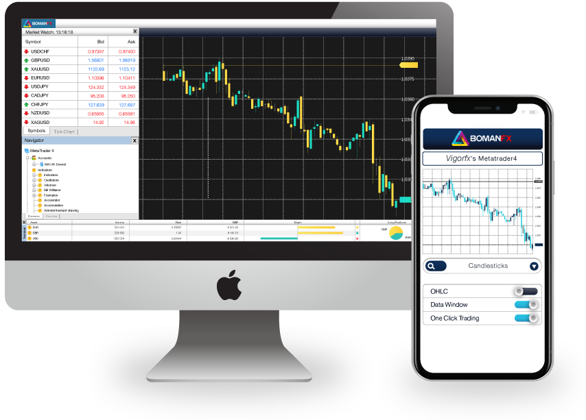 Metatrader Software